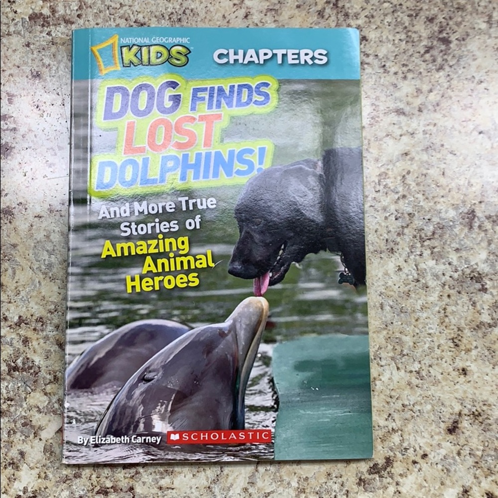 Dog finds lost dolphins